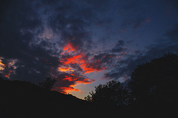 Twilight, Bush, Dark, Silhouettes, Dusk, Hill HD wallpaper