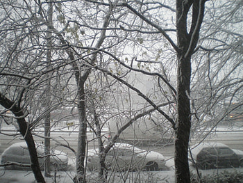 Snow snow, winter, nature, love, snow HD wallpaper
