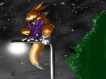 Renamon on a Lightpost, renamon, lightpost HD wallpaper