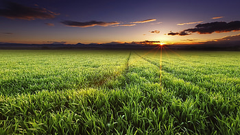 Sunset, skyline, landscape HD wallpaper