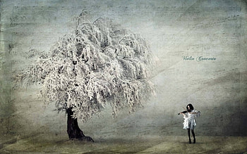 VIOLIN CONCERTO, music, abstract, fantasy, tree HD wallpaper