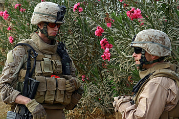 Marines, military, us, americans, usa HD wallpaper