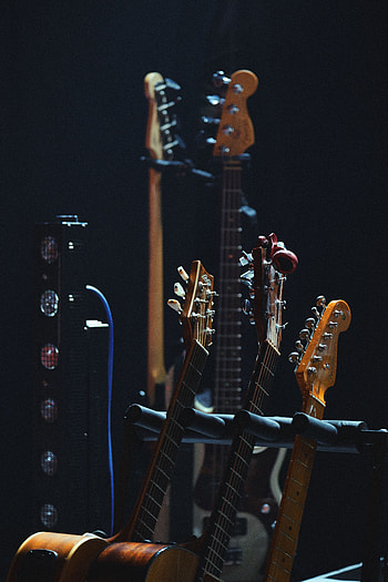 Music, Guitars, Strings, Musical Strings, Vultures HD phone wallpaper