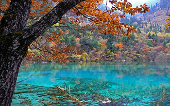Landscape, Nature, Lakes HD wallpaper