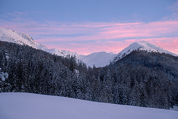 Winter, Nature, Trees, Mountains, Snow, Switzerland, Snow Covered, Snowbound, Mountain Landscape HD wallpaper