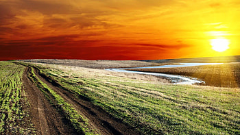 Spring Sunshine, field, clouds, sky, nature, grass, spring, lake HD wallpaper
