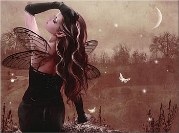 call of the wind, night, wind, woman, beauty HD wallpaper