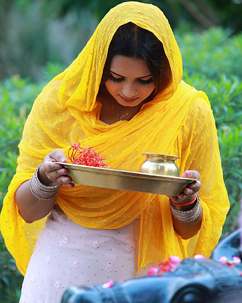 Neelam giri, bhojpuri, graph, bhojpuri song, grass HD phone wallpaper