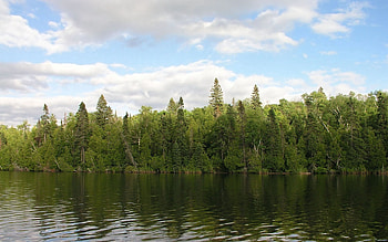 Nature, Rivers, Trees, Sky, Wind HD wallpaper