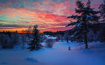 amazing winter sunset landscape r, winter, house, landscape, r, forest, sunset HD wallpaper