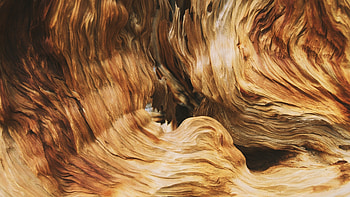 Wood, texture, surface HD wallpaper