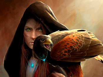 GIRL & GUARDIAN, girl, falcon, art, hood HD wallpaper