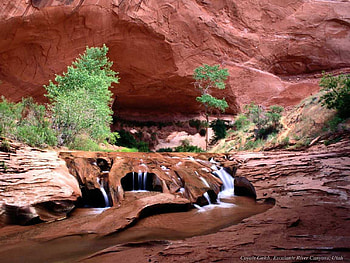 escalante river, trees, waterfalls, water, forest, canyons HD wallpaper