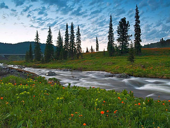Beautiful Stream, cool, beautiful, , stream HD wallpaper