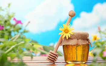 Jar, Honey HD wallpaper