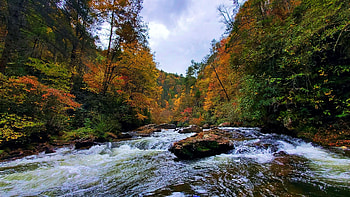 Fall on the Green River - Saluda, North Carolina, fall, colors, trees, sky, forest, rocks, stream, leaves, autumn, clouds HD wallpaper