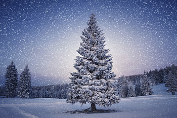Winter Time, winter, snowy, snowflakes, snow, landscape, trees, nature, mountains HD wallpaper