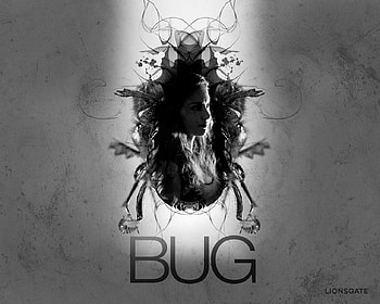 Bug 2007, celebrities, ashley, bugs, bug, women, judd, promos HD wallpaper