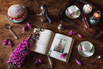 Still Life, Still, , book, life HD wallpaper
