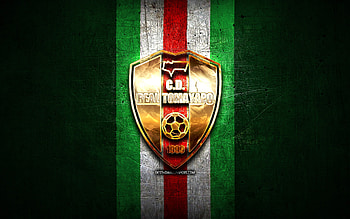 Real Tomayapo FC, golden logo, Bolivian Primera Division, green metal background, football, Venezuelan football club, CD Real Tomayapo logo, soccer, Venezuelan Primera Division, CD Real Tomayapo HD wallpaper