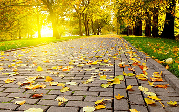 Nature Landscape , Nature Landscape For , Pc, Laptop. Nature Landscape , High Definition ... HD wallpaper