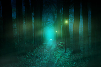 Nature, Park, Fog, Lamp, Lantern, Bench, Mystical, Mystic HD wallpaper