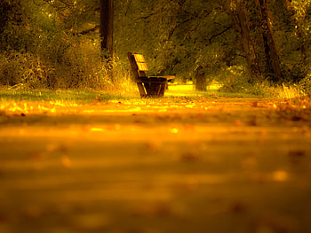 Nature, Blur, Bench, Lonely HD wallpaper