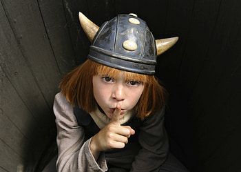 Vicky the Viking men, bully, herbig, vicky, viking men, michael bully herbig HD wallpaper