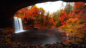 Beaver Falls, Oregon, river, leaves, fall, autumn, landscape, trees, colors, pond, usa HD wallpaper
