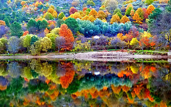 Autumn reflection, green, red, autumn, nature, lake, beauty, color, orange, reflection, water HD wallpaper