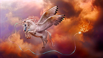 Magic Connection, lightning, magic, fantasy, unicorn, pegasus HD wallpaper