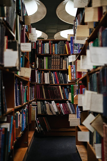 Books, Miscellanea, Miscellaneous, Racks, Library, Shelves HD phone wallpaper