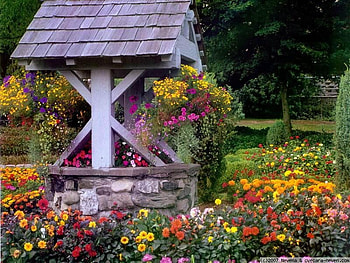 summer garden, summer, garden, beautiful, flowers, colourful HD wallpaper