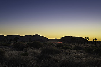 Nature, Bush, Hills, Evening, Glow, Line HD wallpaper