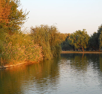Autumn, water, lake, park HD wallpaper