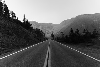 Monochrome Road Trees Landscape , monochrome, road, trees, landscape, graphy HD wallpaper
