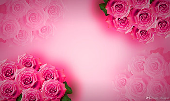 Pink pink, rose, pink, abstract, flower HD wallpaper