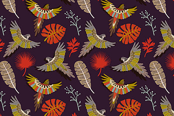Birds, Parrots, Feather, Vector, Multicolored, Motley, Pattern, Texture, Textures HD wallpaper