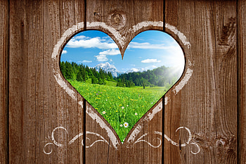 hearts view, pretty, green, clouds, cute, sky, nature, grass, heart HD wallpaper