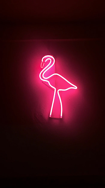 Neon, Flamingos HD phone wallpaper