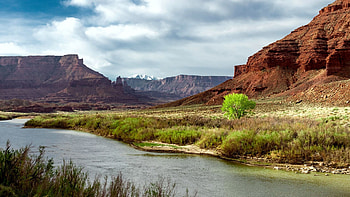 A spring morning chasing the Colorado River down to Moab, Utah, plants, landscape, clouds, sky, water, canyons, usa HD wallpaper