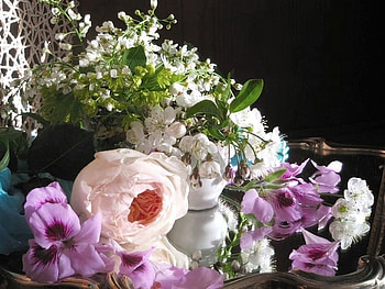 Mixture of flowers and beauty, simplicity, delicately colored, soft, nature, mixture, flowers, pleasant, beauty HD wallpaper