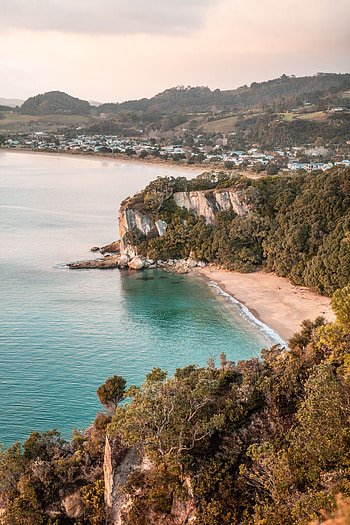 Nature, Trees, Sea, Rocks, View From Above, Coast HD phone wallpaper