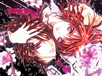 Vampire Knight , kaname, vampire, yuki HD wallpaper