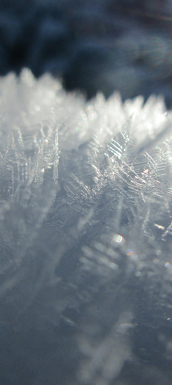 close-up, nature, snowflake HD phone wallpaper