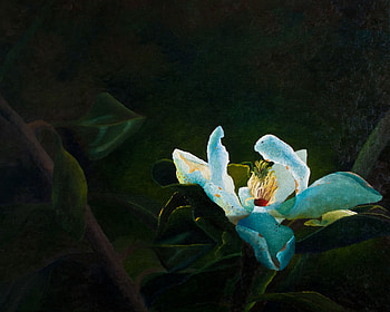 Sernity, blue, flower, nature, twist HD wallpaper