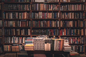 A tranquil library filled with books on wooden shelves, offering a warm, inviting atmosphere. HD wallpaper