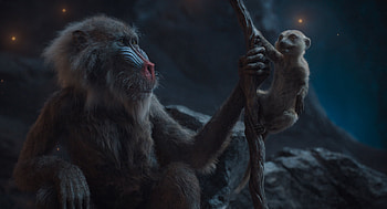 Mufasa: The Lion King, movie, Mufasa: The Lion King HD wallpaper