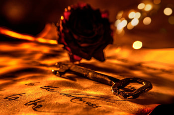 ღ, bokeh, roses, rose, letter, key, petals, love, flowers, valentines day HD wallpaper