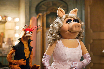 Miss Piggy, movie, The Muppets (TV Show) HD wallpaper